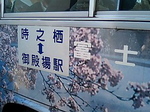 081207_1158~0001.jpg