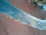 081207_1346~0002.jpg