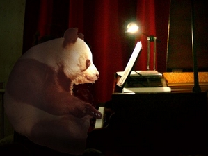 pandaplpi.jpg