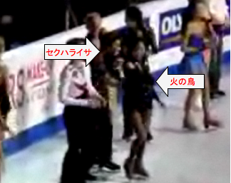 sely.png