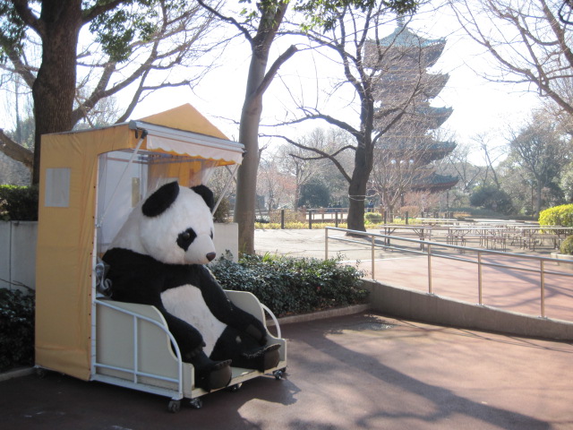 panpan2.jpg
