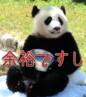 yoyupanda.jpg